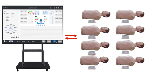 MJ200 群体化智能心肺复苏训练系统 （半身）